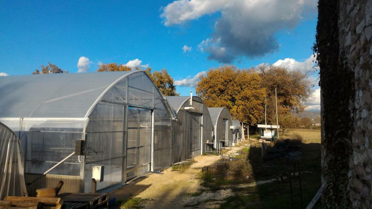 Agriturismo " Le Serre" Spello Eksteriør bilde