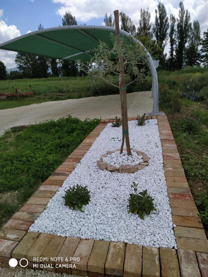 Agriturismo " Le Serre" Spello Eksteriør bilde